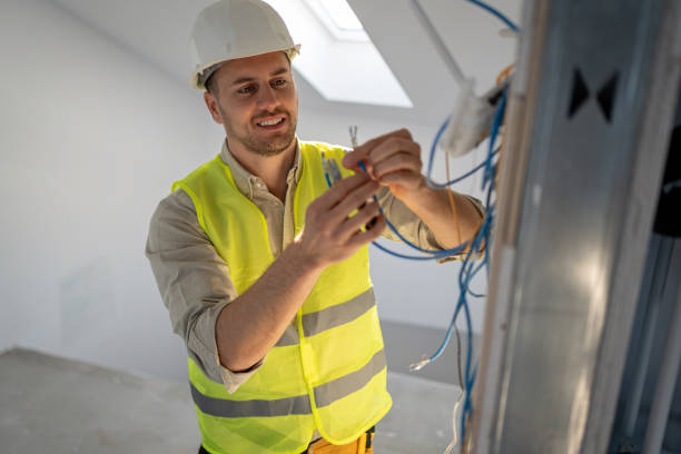 Best Electric Panel Repair  in Riverside, IA